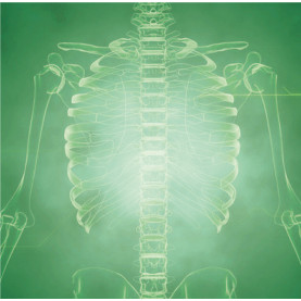 Gestion de toutes douleurs | Inula