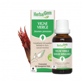 Bourgeon de Vigne vierge - 30 ml | Inula