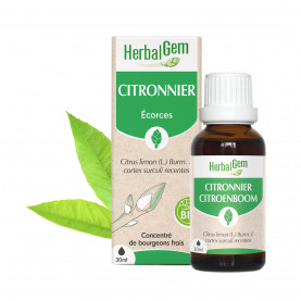 Bourgeon de Citronnier - 30 ml | Inula