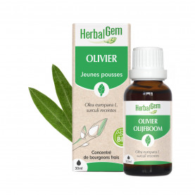 OLIVE - 30 ml | Inula