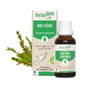 Bourgeon de Bruyère - 30 ml | Inula