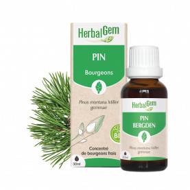 MOUNTAIN PINE - 30 ml | Inula