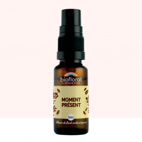 Moment Présent - 20 ml | Inula