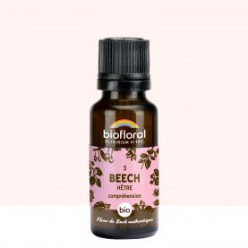 03 Beech, Hêtre - 19,5 gr | Inula