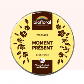 Moment Présent - 50 g | Inula