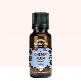 06 Cherry Plum, Prunus - 19,5 gr | Inula