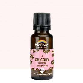 08 Chicory, Chicorée - 19,5 gr | Inula