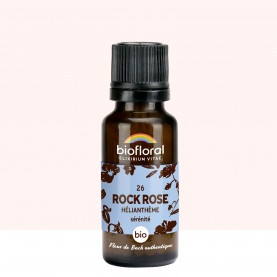 26 Rock Rose, Hélianthème - 19,5 gr | Inula