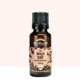 36 Wild Oat, Avoine Sauvage - 19,5 gr | Inula
