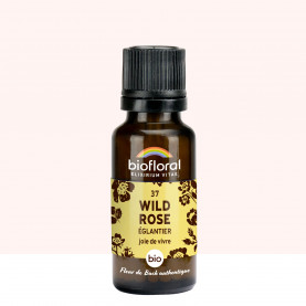 37 Wild Rose, Églantier - 19,5 gr | Inula