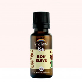 Bon élève - 19,5 gr | Inula