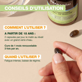 Complément alimentaire Energy - 60 capsules | Inula