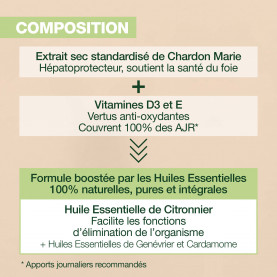 Complément alimentaire Détox - 60 capsules | Inula