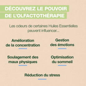 Roll-on Sleep - 5 ml roller | Inula