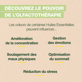 Roll-on Focus - 5 ml roller | Inula