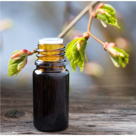 GEMMOTHERAPIE ESSENTIELLE - BE - 1 pièce | Inula