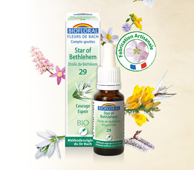 Inula Group - Biofloral