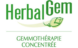 Groupe Inula - HerbalGem Groupe Inula - HerbalGem